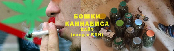 бошки Алексин