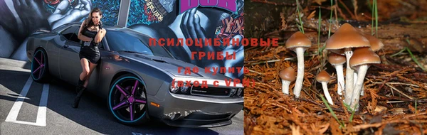 бутират Алексеевка